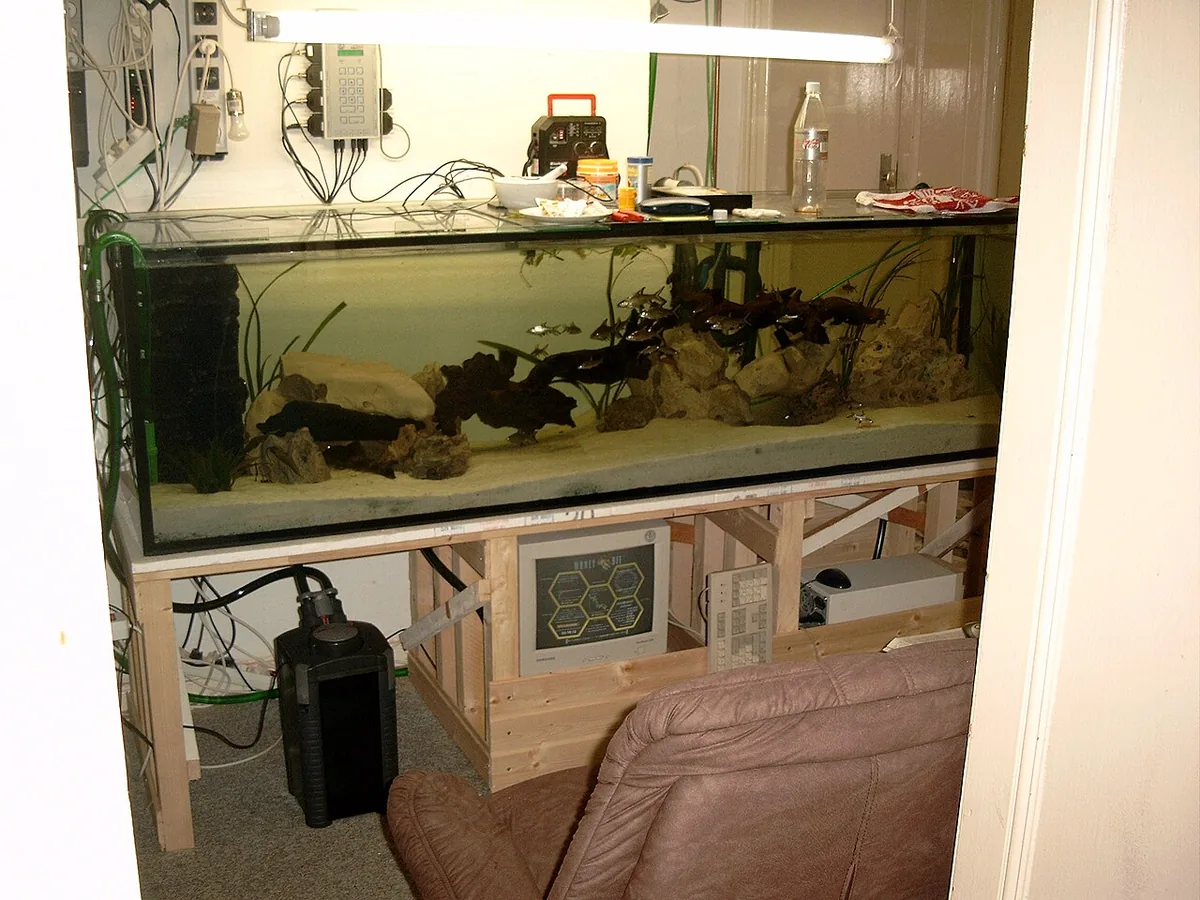 Large freshwater aquarium with fish, rockwork, and filtration equipment.