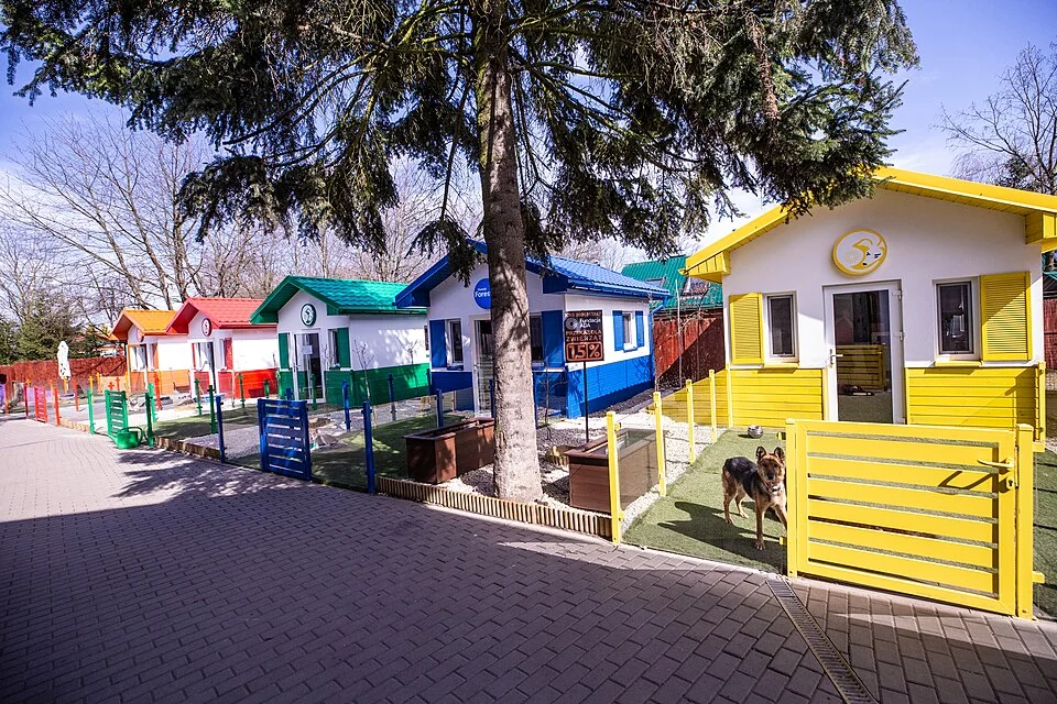 Colorful animal-shelter buildings arranged along a paved walkway.